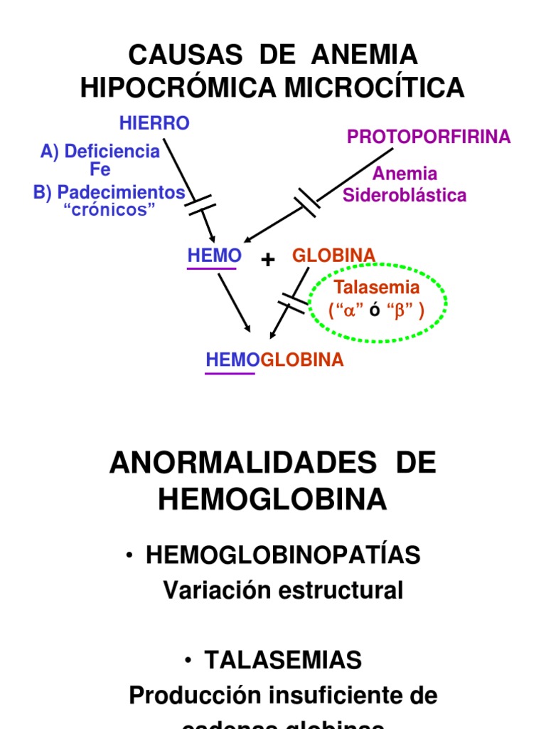 causas de anemia hipocromica microcitica